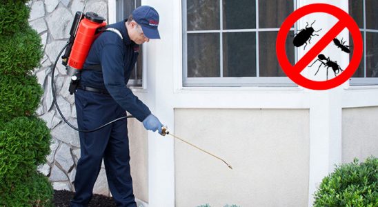 Karayazı Uçan Haşere İlaçlama böcek ilaçlama ve haşere kontrolü — ilaclama-tr.com